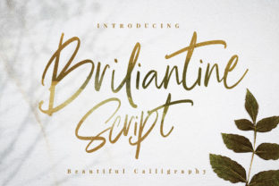 Briliantine Script: A Font for Modern Branding & Design