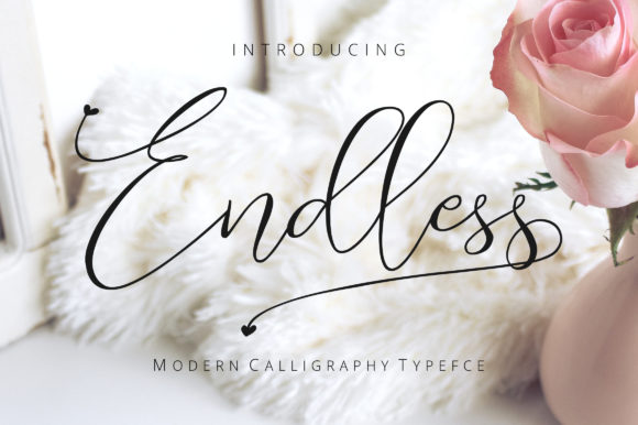 Endless Script: A Font That Feels Like a Promise